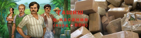 ECSTASY Алзамай