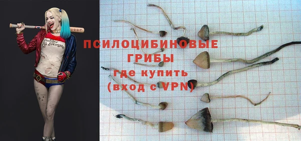 молекула духа Алексин