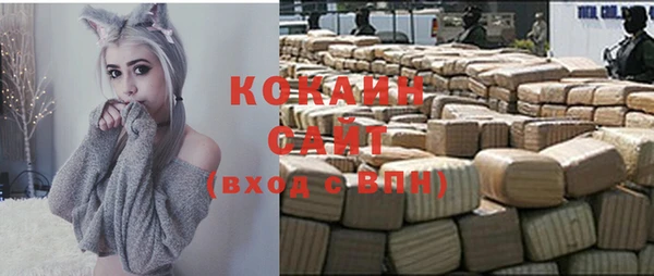 ECSTASY Алзамай