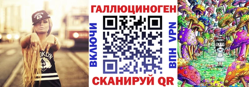 Псилоцибиновые грибы Psilocybine cubensis  Зарайск 